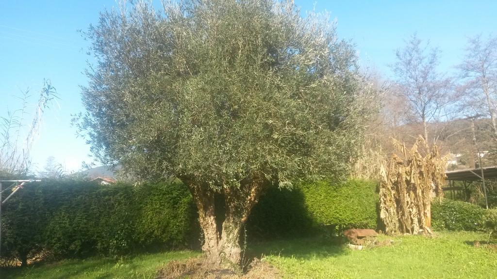 Casa Rural Ibarrondo Etxea Mungia Zewnętrze zdjęcie